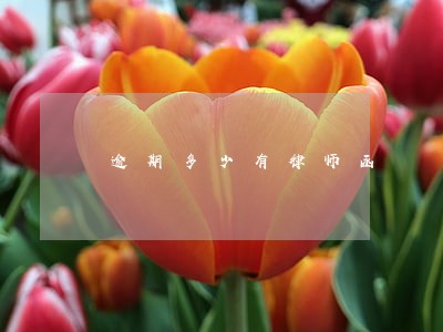 逾期多少有律师函 逾期多少有律师函
