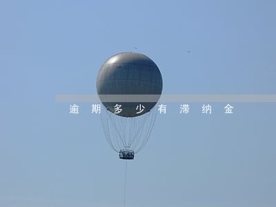 逾期多少有滞纳金 逾期多少有滞纳金