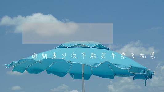 逾期多少次不能买车票飞机票