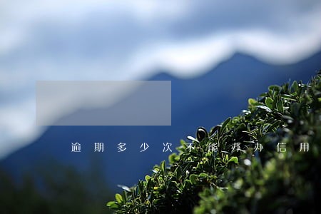 逾期多少次不能办办信用卡 逾期多少次不能办办信用卡