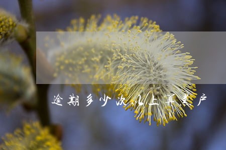 逾期多少次以上算黑户 逾期多少次以上算黑户