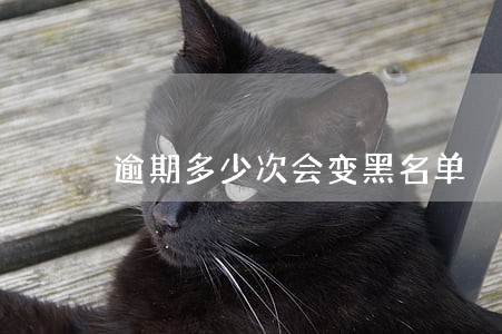 逾期多少次会变黑名单 逾期多少次会变黑名单