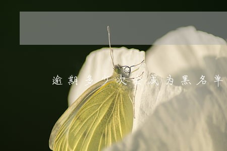 逾期多少次会成为黑名单 逾期多少次会成为黑名单