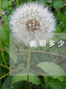 逾期多少次会被列为失信 逾期多少次会被列为失信