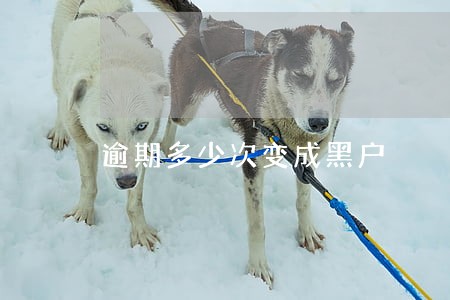 逾期多少次变成黑户 逾期多少次变成黑户