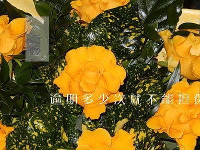 逾期多少次就不能担保呢