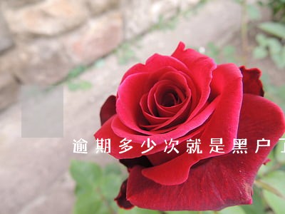 逾期多少次就是黑户了 逾期多少次就是黑户了