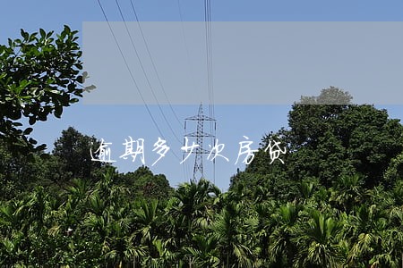 逾期多少次房贷 逾期多少次房贷
