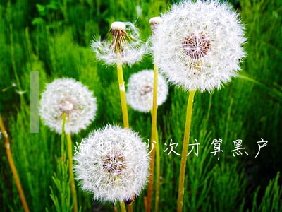 逾期多少次才算黑户 逾期多少次才算黑户