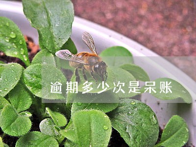 逾期多少次是呆账 逾期多少次是呆账