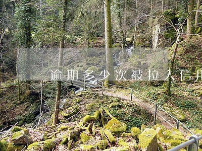 逾期多少次被拉入信用黑名单 逾期多少次被拉入信用黑名单