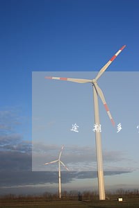 逾期多少次进入黑名单 逾期多少次进入黑名单
