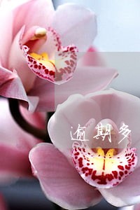 逾期多少贷款会失信 逾期多少贷款会失信