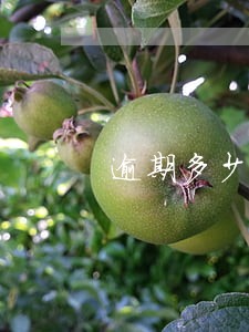 逾期多少金额会被限制坐高铁 逾期多少金额会被限制坐高铁