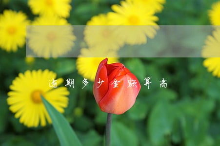 逾期多少金额算高 逾期多少金额算高