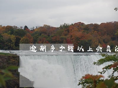 逾期多少钱以上会负法律责任 逾期多少钱以上会负法律责任