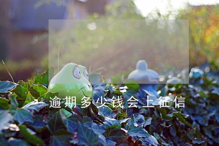 逾期多少钱会上征信 逾期多少钱会上征信