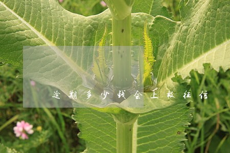 逾期多少钱会上报征信 逾期多少钱会上报征信
