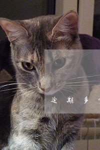 逾期多少钱会上门追讨