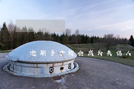 逾期多少钱会成为失信人 逾期多少钱会成为失信人