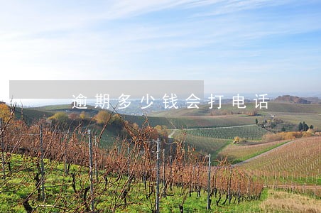 逾期多少钱会打电话 逾期多少钱会打电话