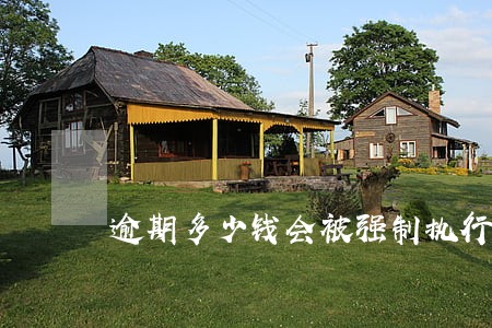 逾期多少钱会被强制执行