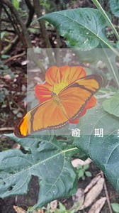 逾期多少钱会被执行 逾期多少钱会被执行