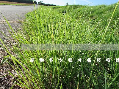 逾期多少钱才会打电话 逾期多少钱才会打电话