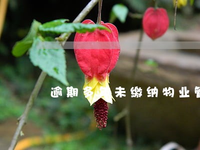 逾期多年未缴纳物业管理费 逾期多年未缴纳物业管理费