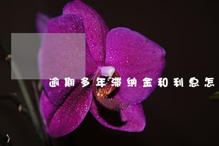 逾期多年滞纳金和利息怎么算 逾期多年滞纳金和利息怎么算