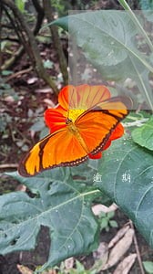 逾期多年的案例 逾期多年的案例
