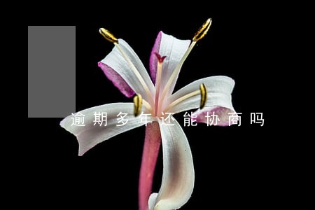 逾期多年还能协商吗 逾期多年还能协商吗