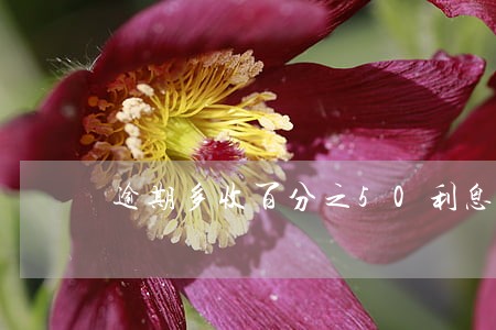 逾期多收百分之50利息 逾期多收百分之50利息