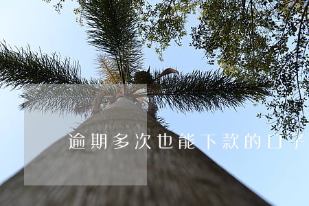 逾期多次也能下款的口子 逾期多次也能下款的口子