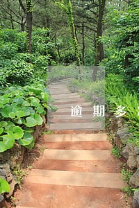逾期多次买房银行利率上浮 逾期多次买房银行利率上浮