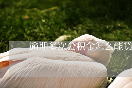 逾期多次公积金怎么能贷款 逾期多次公积金怎么能贷款