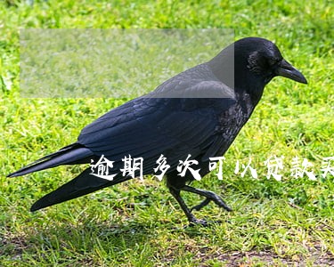 逾期多次可以贷款买房吗 逾期多次可以贷款买房吗