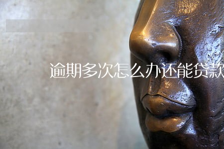 逾期多次怎么办还能贷款 逾期多次怎么办还能贷款