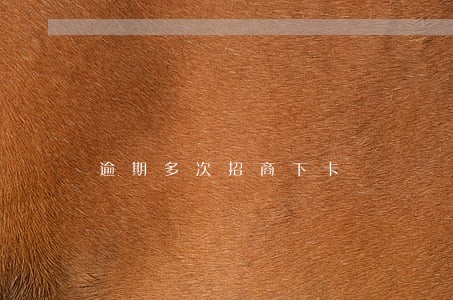 逾期多次招商下卡 逾期多次招商下卡