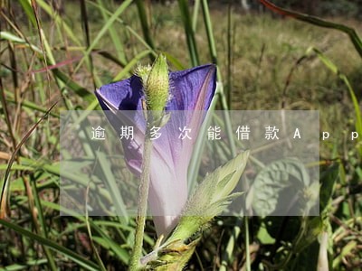 逾期多次能借款App