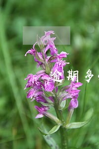 逾期多次能申请房贷吗 逾期多次能申请房贷吗