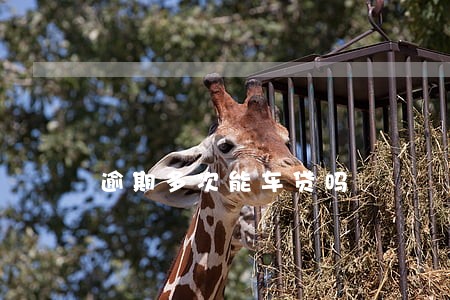 逾期多次能车贷吗 逾期多次能车贷吗