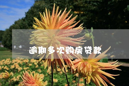逾期多次购房贷款 逾期多次购房贷款