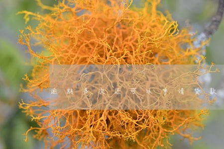 逾期多次还可以申请贷款吗 逾期多次还可以申请贷款吗