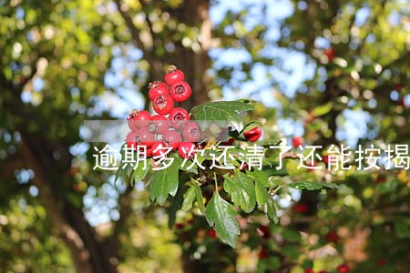 逾期多次还清了还能按揭车吗 逾期多次还清了还能按揭车吗