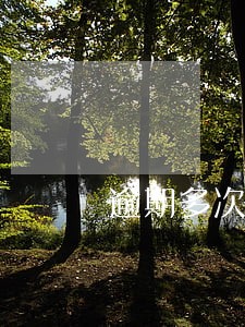 逾期多次还能做二次抵押 逾期多次还能做二次抵押