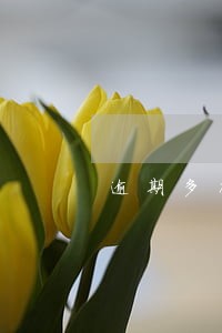 逾期多次还能办信用卡吗