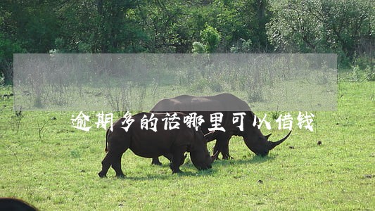 逾期多的话哪里可以借钱 逾期多的话哪里可以借钱