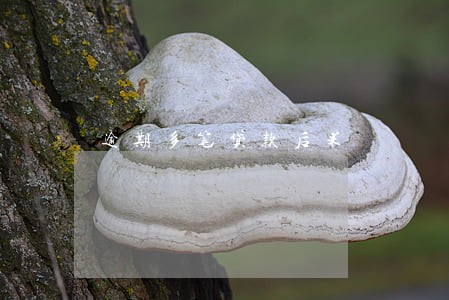 逾期多笔贷款后果 逾期多笔贷款后果