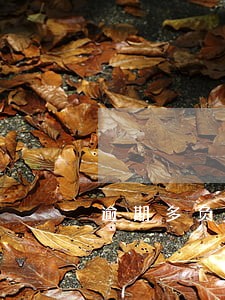 逾期多负债太高怎么办 逾期多负债太高怎么办